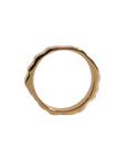 Monti Dachstein Ring