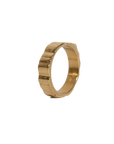 Monti Dachstein Ring