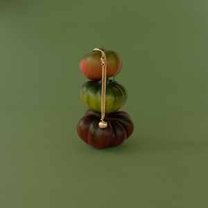 Tomate - Jardin