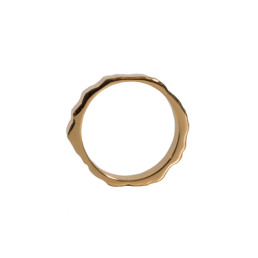 Monti Dachstein Ring