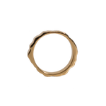 Monti Dachstein Ring