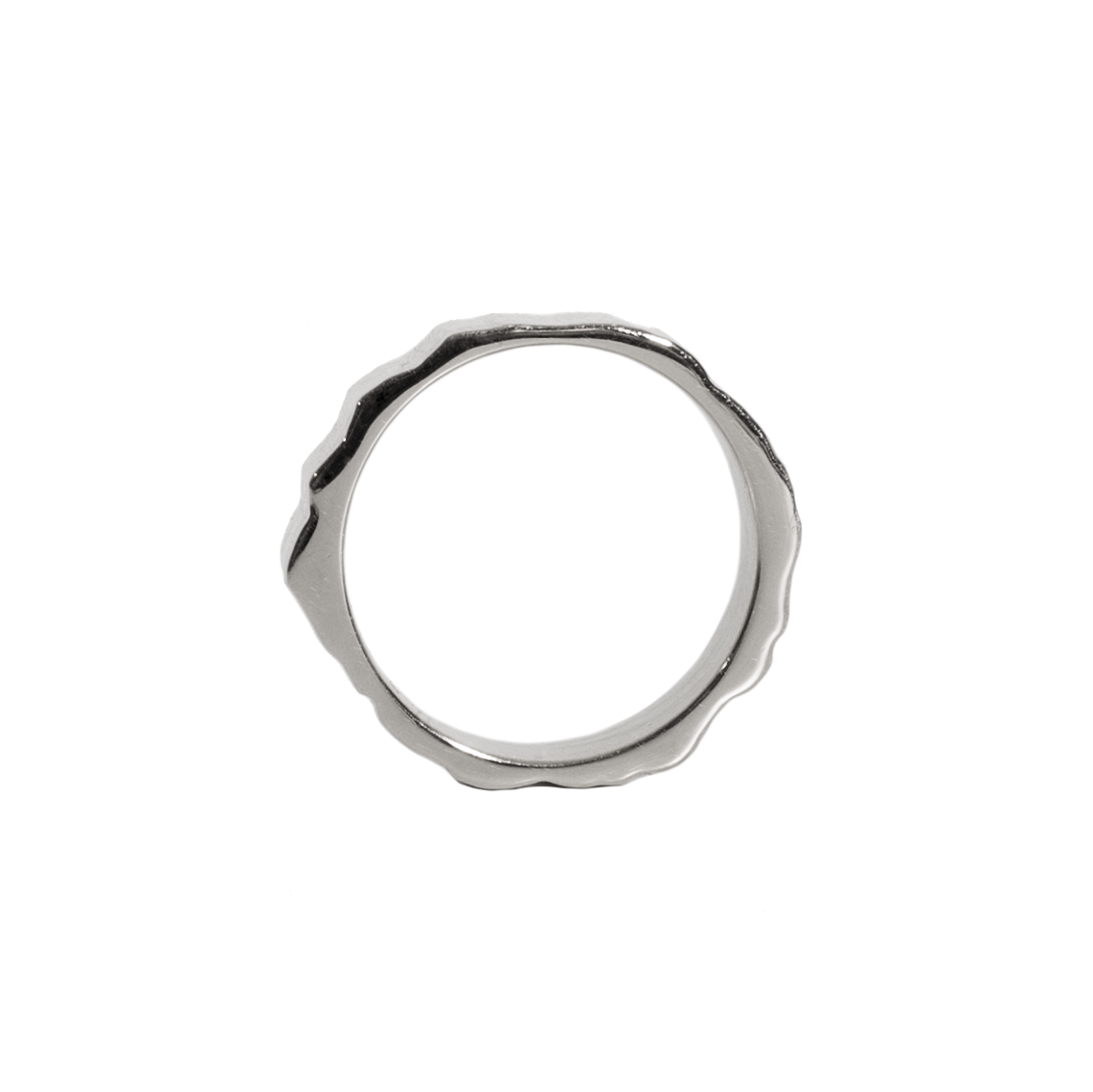 Monti Dachstein Ring