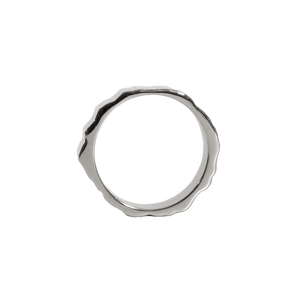 Monti Dachstein Ring