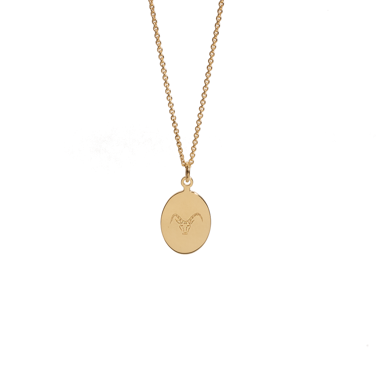 Sternzeichen Amulett