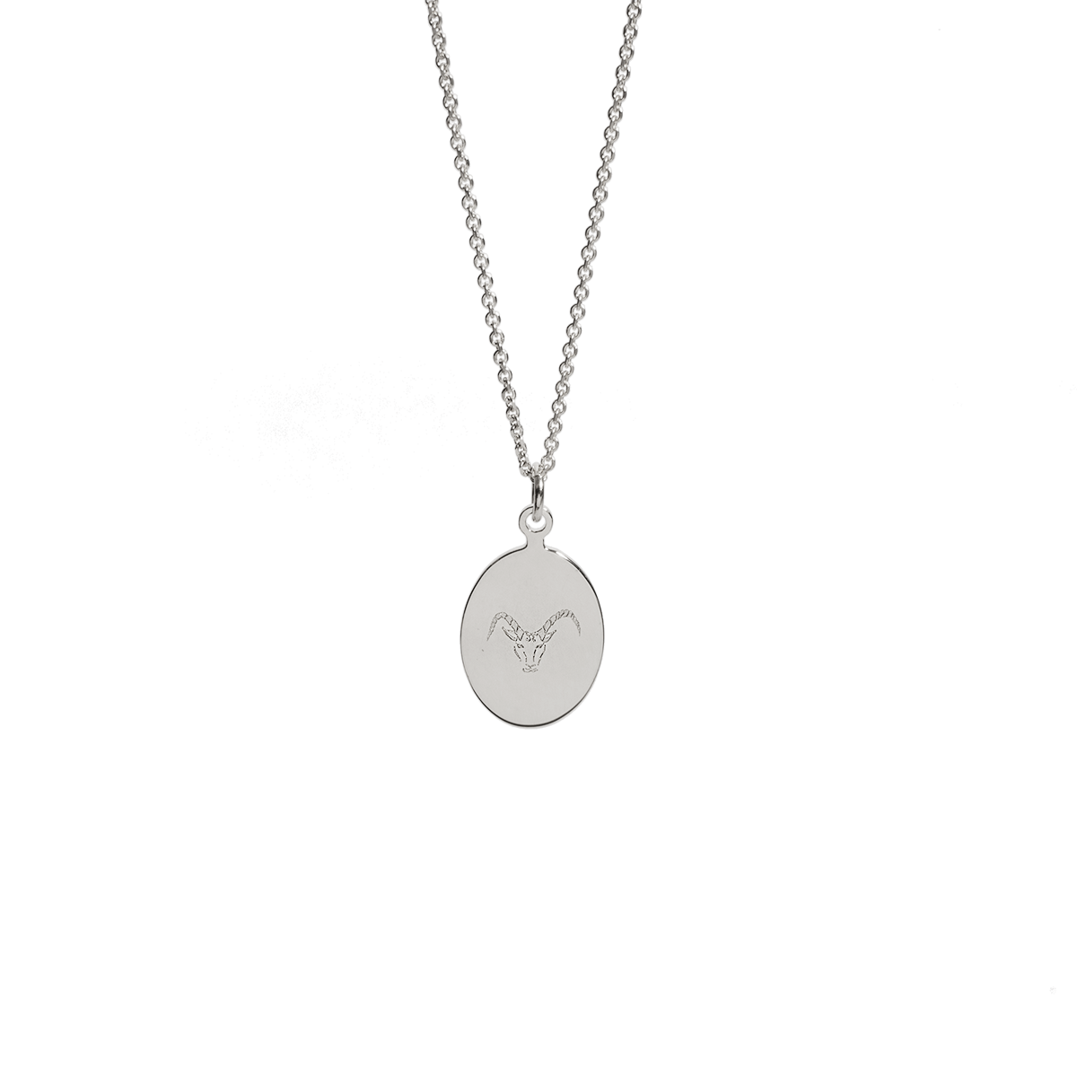 Sternzeichen Amulett