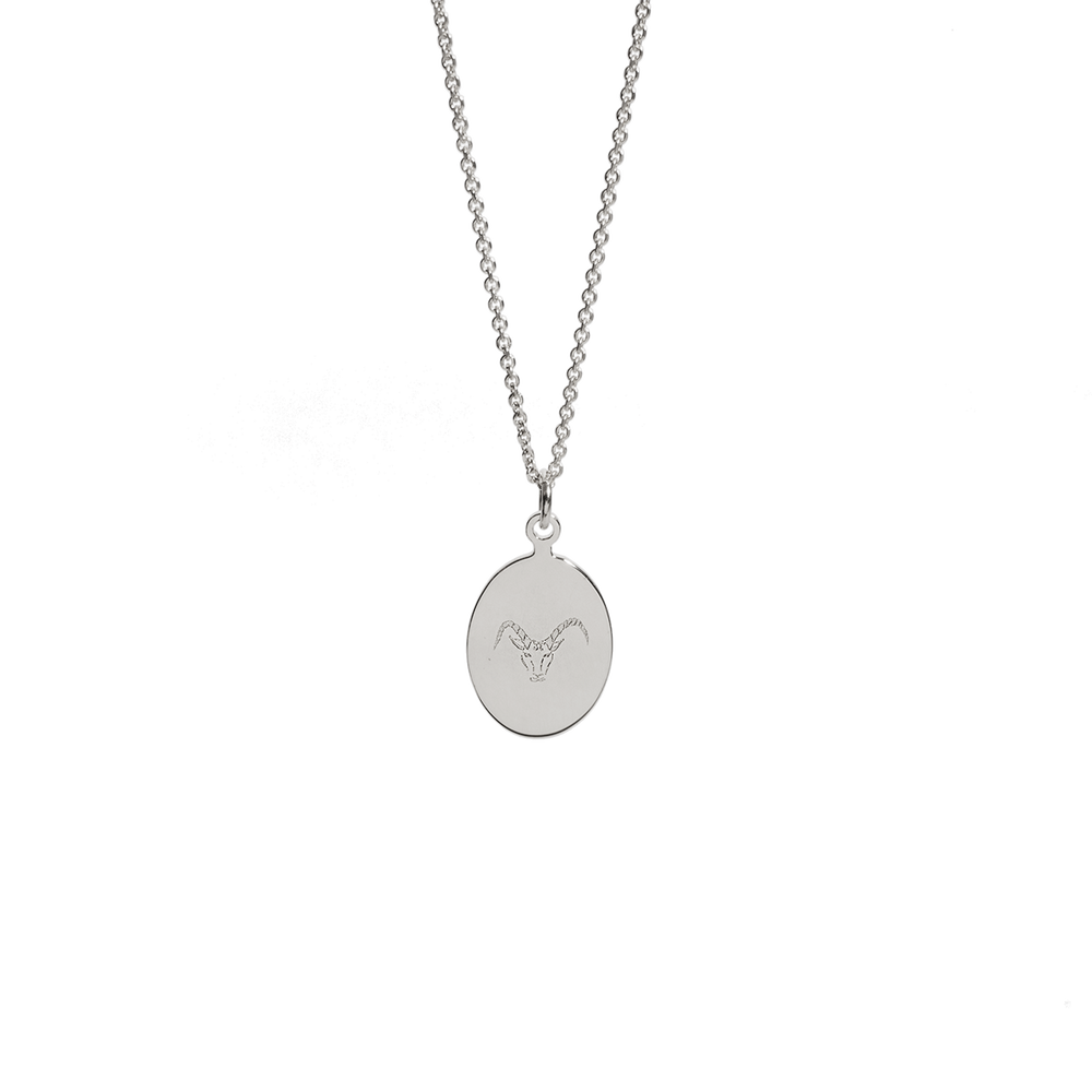 Zodiac amulet