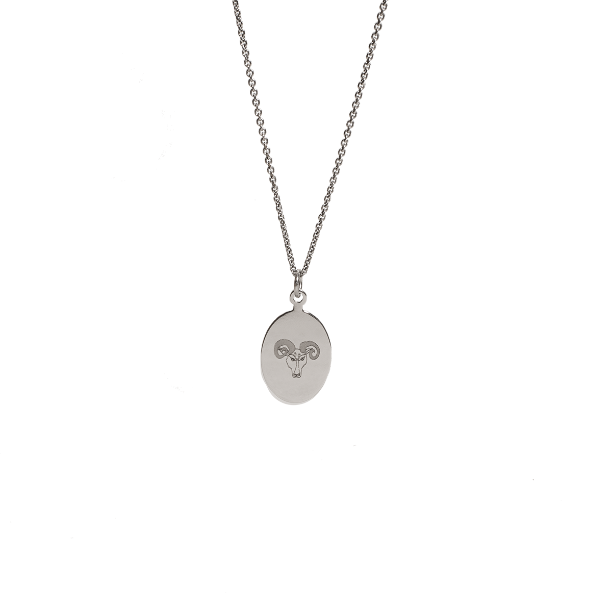 Sternzeichen Amulett